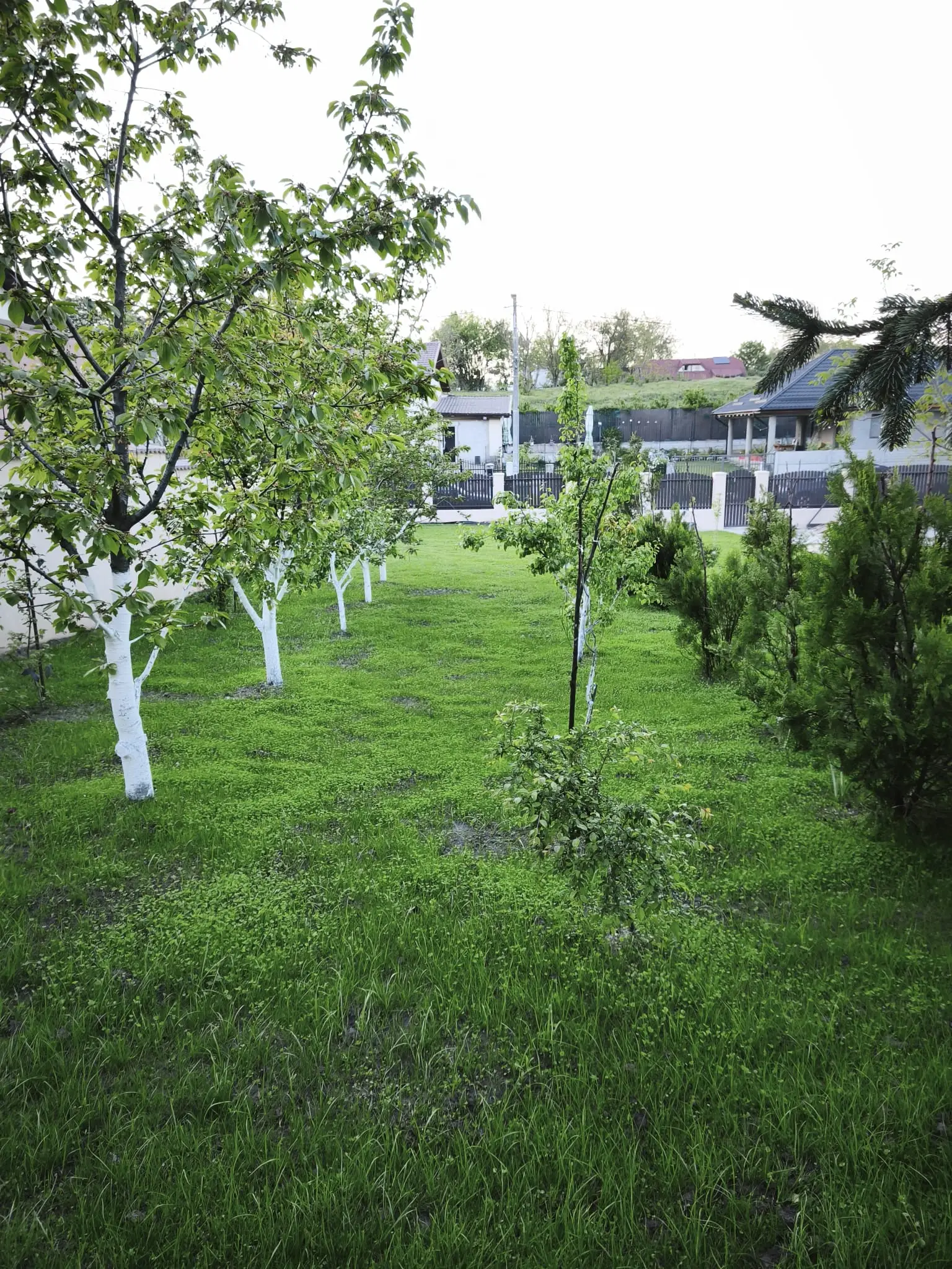 Amenajare curte rezidențială — poza 4