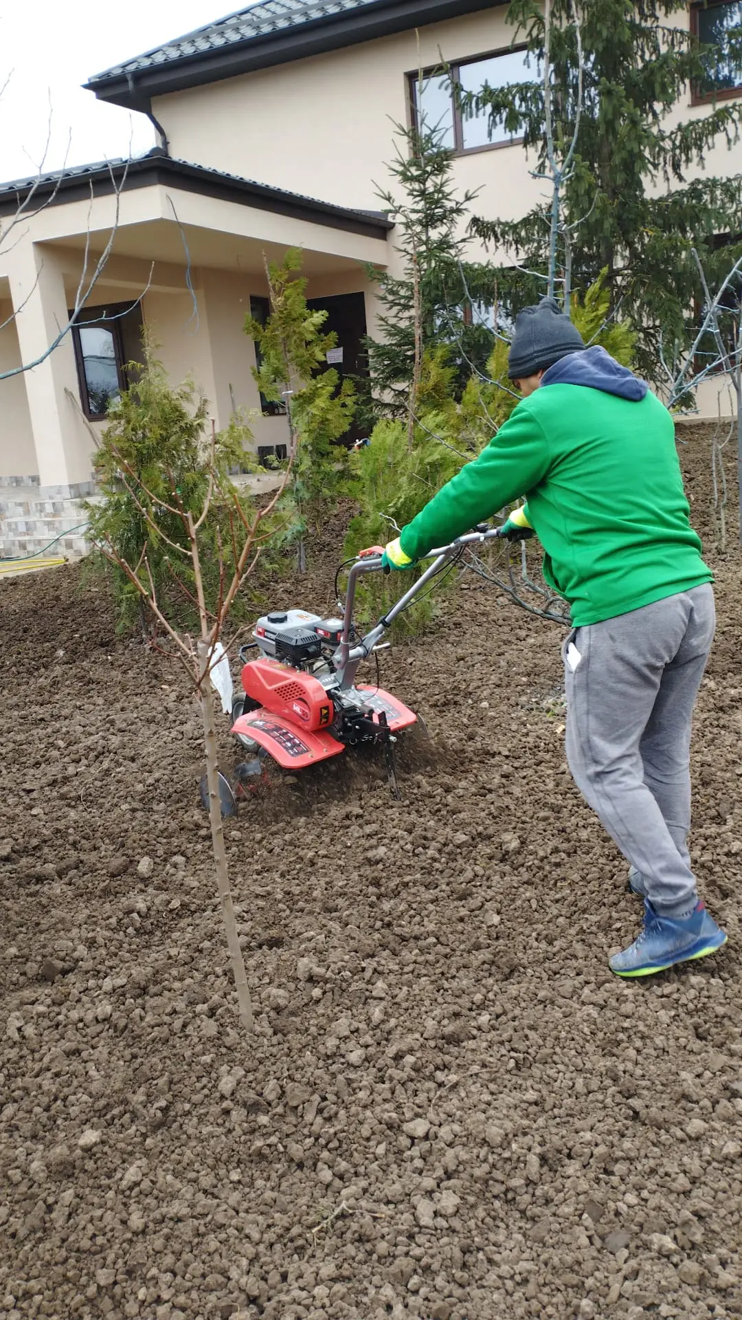 Amenajare curte rezidențială — poza 9